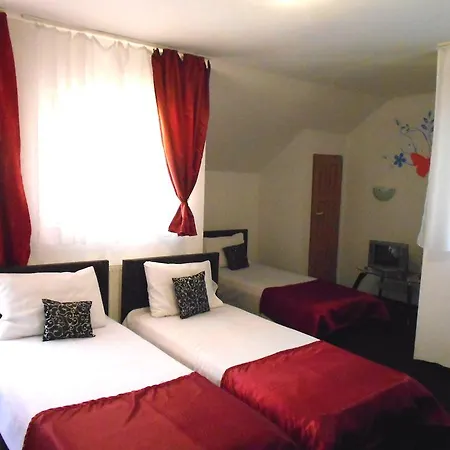 Pensiunea Izisoara Resort Holiday home Sacel (Maramures)