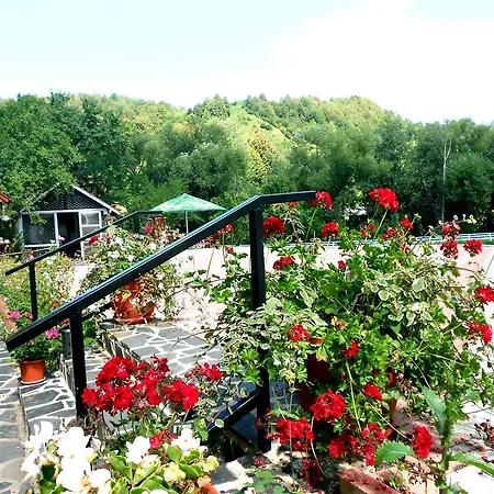 Pensiunea Izisoara Resort
