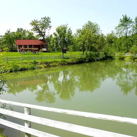 Holiday home Pensiunea Izisoara Resort Sacel (Maramures)