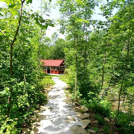 Holiday home Pensiunea Izisoara Resort Sacel (Maramures)