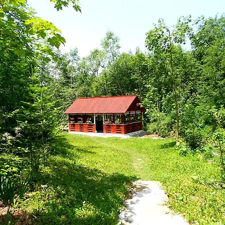Holiday home Pensiunea Izisoara Resort Sacel (Maramures)
