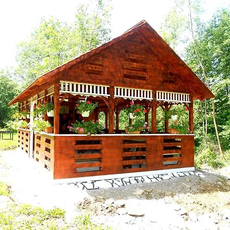 Pensiunea Izisoara Resort Sacel (Maramures)