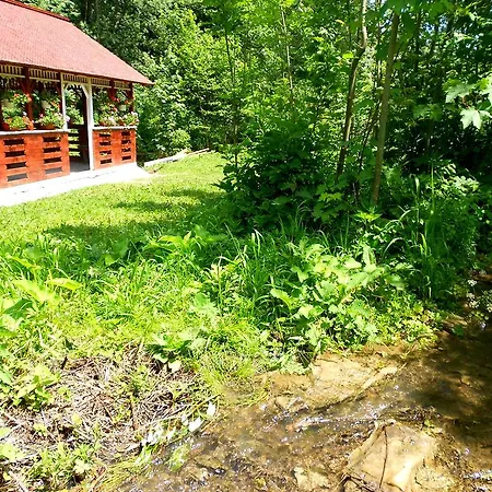 Holiday home Pensiunea Izisoara Resort