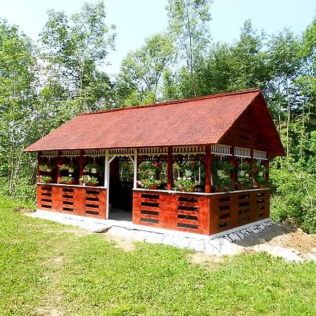 Pensiunea Izisoara Resort Sacel (Maramures)