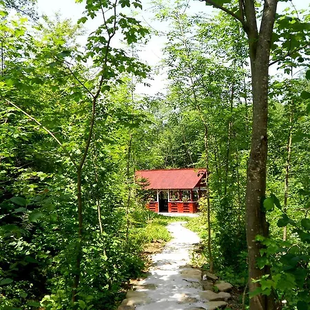 Holiday home Pensiunea Izisoara Resort Sacel (Maramures)
