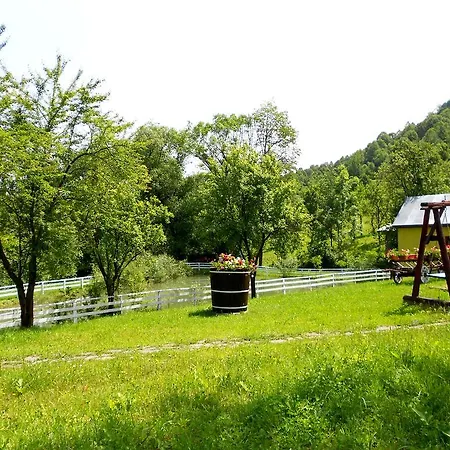 Holiday home Pensiunea Izisoara Resort *