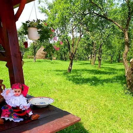 Holiday home Pensiunea Izisoara Resort Sacel (Maramures)