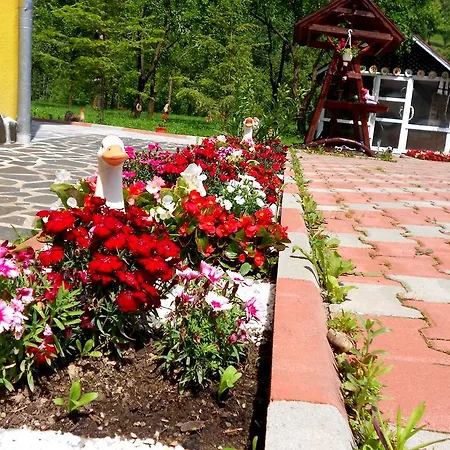 Holiday home Pensiunea Izisoara Resort *