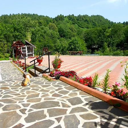Pensiunea Izisoara Resort Sacel (Maramures)