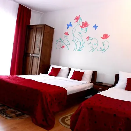 Pensiunea Izisoara Resort Holiday home *