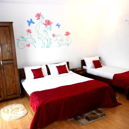 Nyaraló Pensiunea Izisoara Resort *